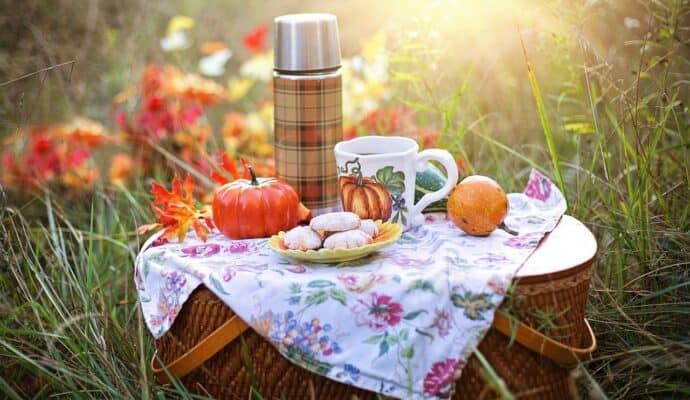 Fun Things To Do While Enjoying the Outdoors - go on a picnic