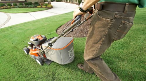 Identify the Type of Grass on Your Lawn - mowing