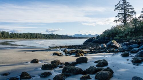 Underrated Vacation Destinations on the West Coast - tofino beach Vancouver islands