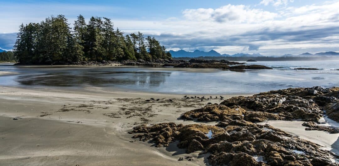 Underrated Vacation Destinations on the West Coast - vancouver islands tofino