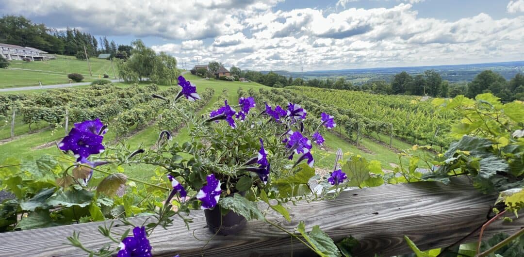 best things to do in lycoming county pa - four friends vineyard patio