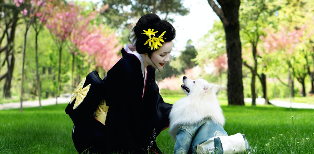 geigi culture - geisha with dog
