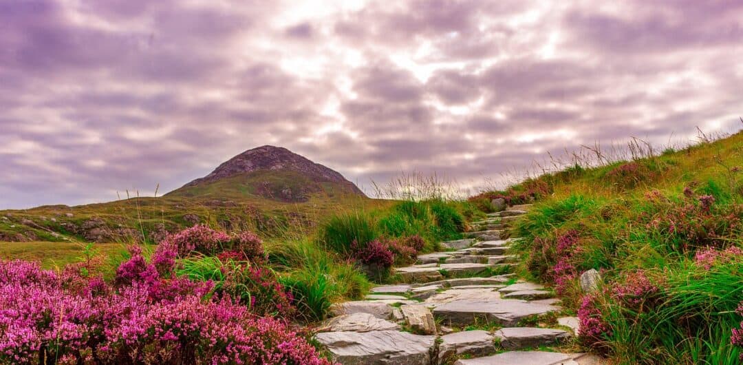 coolcationing - ireland landscape