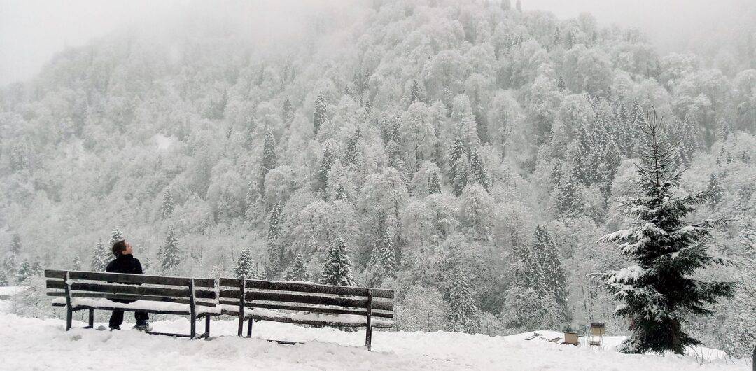 silent travel - winter trees and bench with person sitting