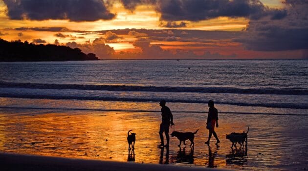 Ways To Actually Relax On Your Travels Without Wasting A Minute Unique Travel Trends for 2024 - Bali Beach
