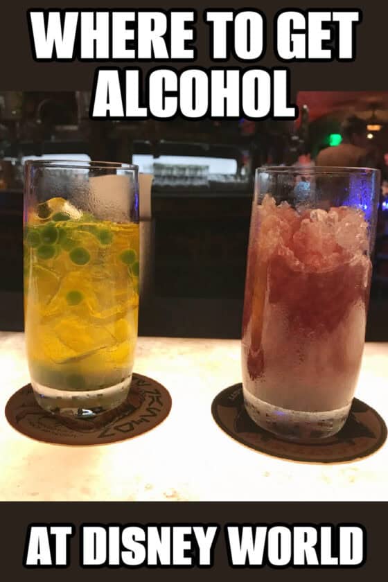 Looking for places to get alcohol in Walt Disney World? In a nutshell, here’s where to get a drink while you’re touring the parks. 