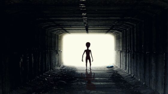 Where to See UFOs- The Best States for Alien Spotting - alien shadow