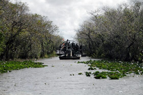 things to do in orlando swamp buggy tour