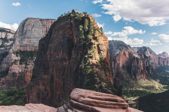Best Scenic Road Trip Destinations Across the USA - zion national park