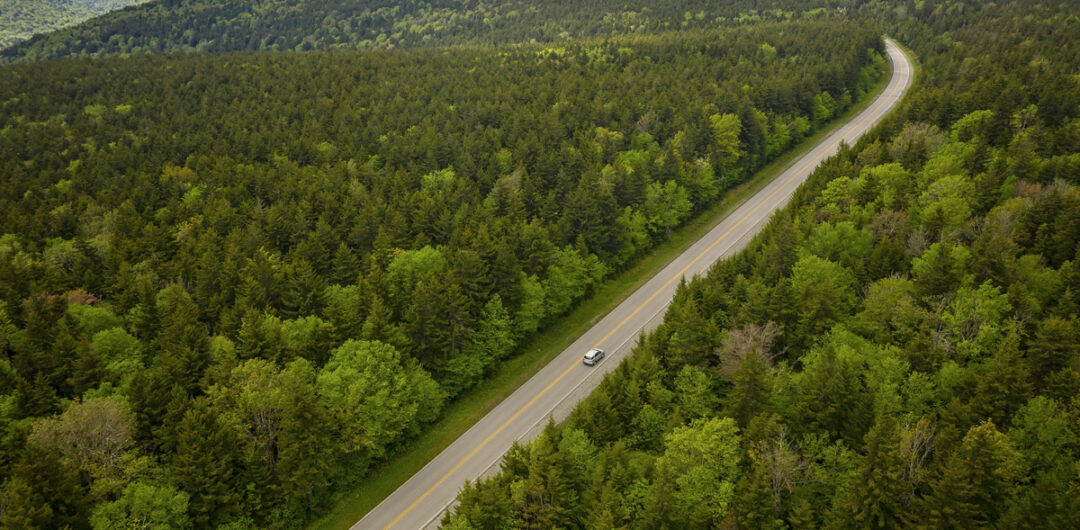 The Most Beautiful Places to Visit in West Virginia 3 Monongahela National Forest
