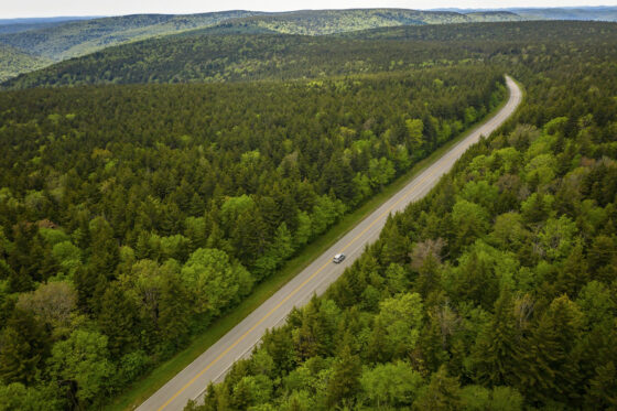 Monongahela National Forest