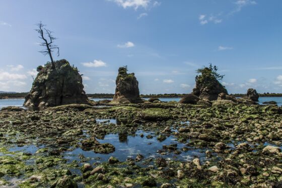 A Guide To Seaside Adventures - Oregon coast