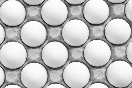 How to Find Alternative Foods That You'll Actually Enjoy - egg whites instead of whey