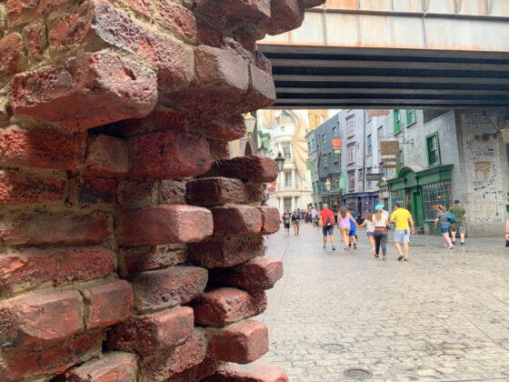 Universal Orlando Wizarding World of Harry Potter Easter Eggs - diagon alley bricks