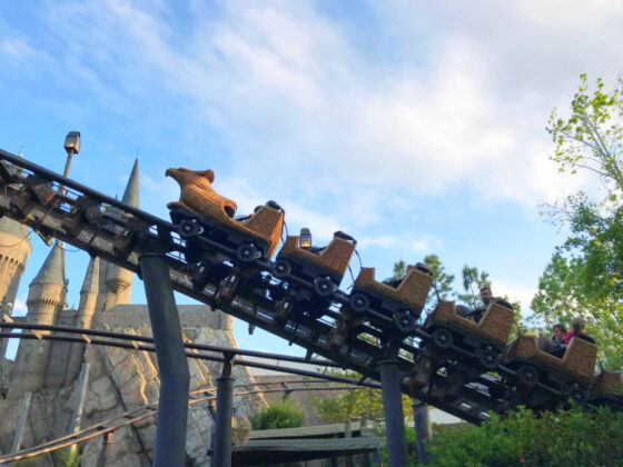 Universal Orlando Wizarding World of Harry Potter Easter Eggs - flight of the hippogriff hagrid's hut