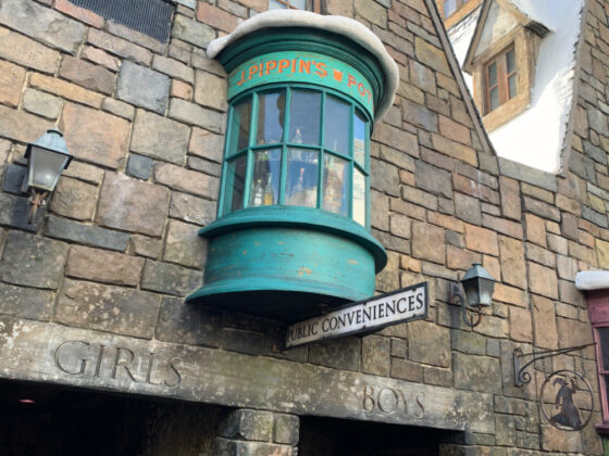 Universal Orlando Wizarding World of Harry Potter Easter Eggs - moaning myrtle in bathroom