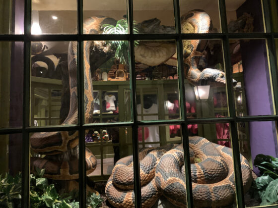 Universal Orlando Wizarding World of Harry Potter Easter Eggs - nagini parseltongue