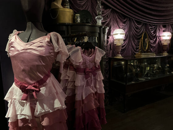 wizarding world of harry potter easter eggs - hermione yule ball dress
