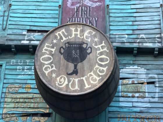 wizarding world of harry potter easter eggs - the hopping pot