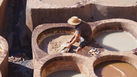 7 Magnificent Cities In Morocco to Visit Immediately - fes