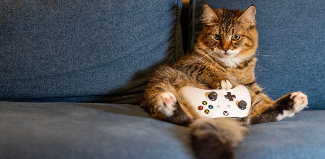 How Gaming Can Help You in the Workplace: 8 Ways 7 How Gaming Can Help You in the Workplace - cat with game controller