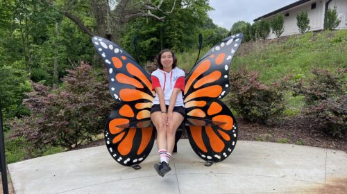 6 Things to Do in Mooresville, NC as an Autistic Person Liberty Park Butterfly Bench
