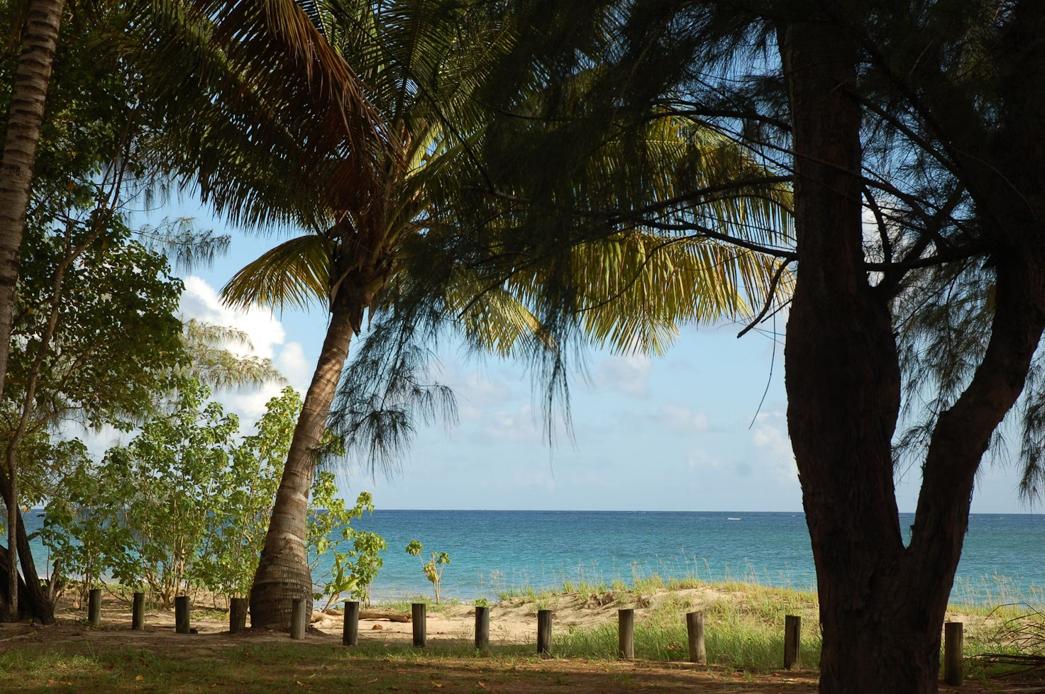 4 Delightful Destinations For A Kid-Friendly Holiday 3 Deciding where to go on holiday, especially when it's a kid-friendly holiday, can feel like an incredibly big decision.
