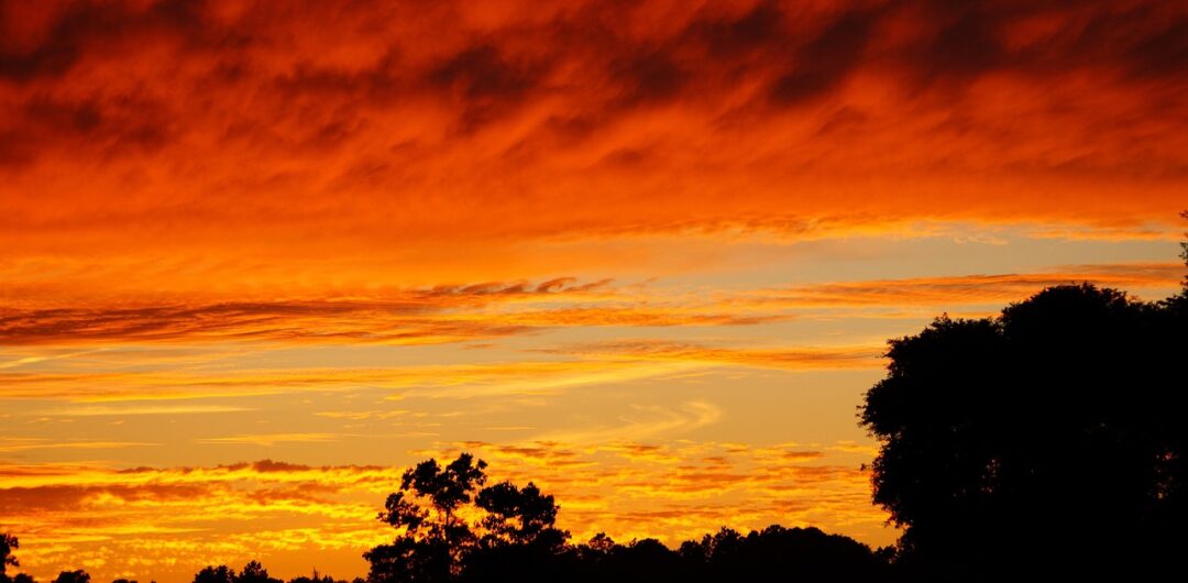 3 Tips to Make Your Next RV Adventure Better Than Ever 3 Exploring Alabama: Why Staying in an Alabama RV Park is the Ultimate Adventure