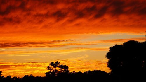 Exploring Alabama: Why Staying in an Alabama RV Park is the Ultimate Adventure