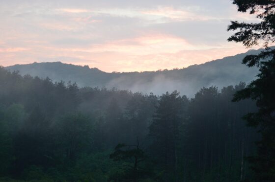 The 10 Best Fall Road Trips in the US - Catskills
