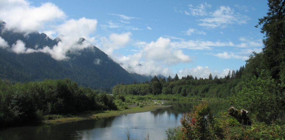 The 10 Best Fall Road Trips in the US - Olympic Peninsula Lake Quinault