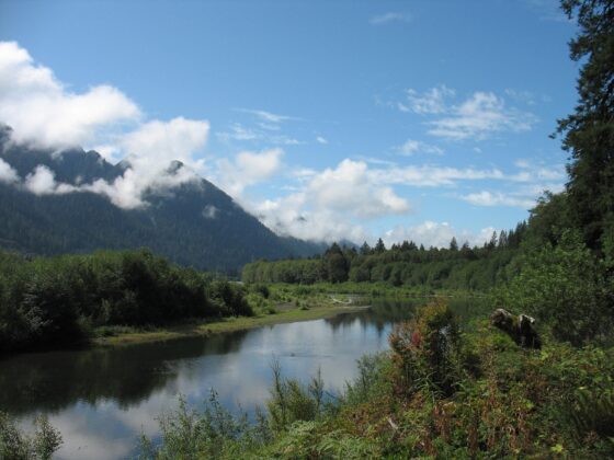 The 10 Best Fall Road Trips in the US - Olympic Peninsula Lake Quinault