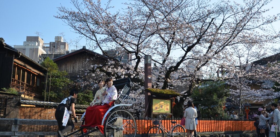 nostalgia-driven travel -kyoto sakura