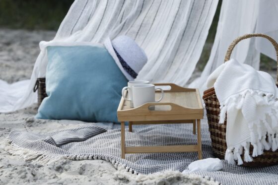 Beach Picnic Essentials What to Pack for a Day by the Sea - Picnic