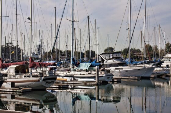 7 Alternative Attractions In Alabama - Docked Boats
