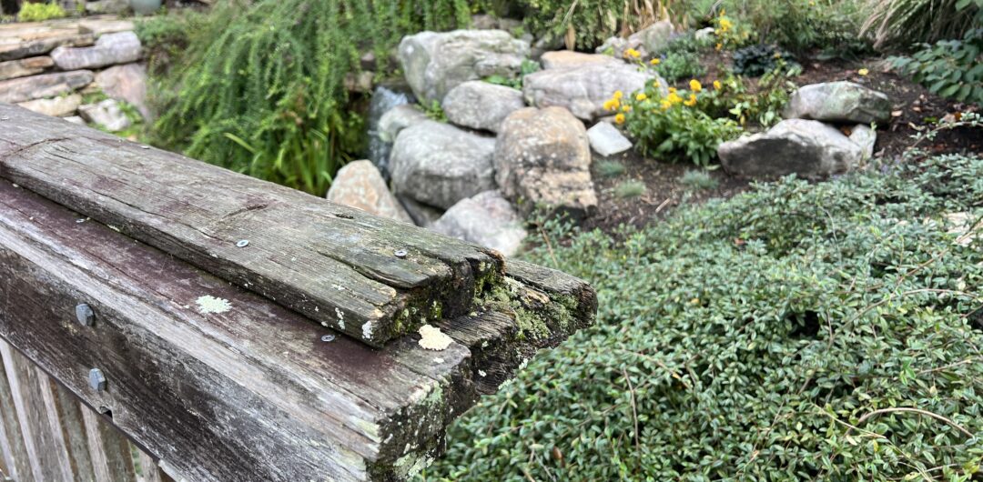Best Things to Do in Blacksburg and Christiansburg, Virginia Year-Round 1 Best Things to Do in Blacksburg and Christiansburg, Virginia Year-Round - Hahn horticulture Garden
