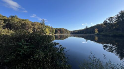 Best Things to Do in Blacksburg and Christiansburg, Virginia Year-Round - pandapas pond