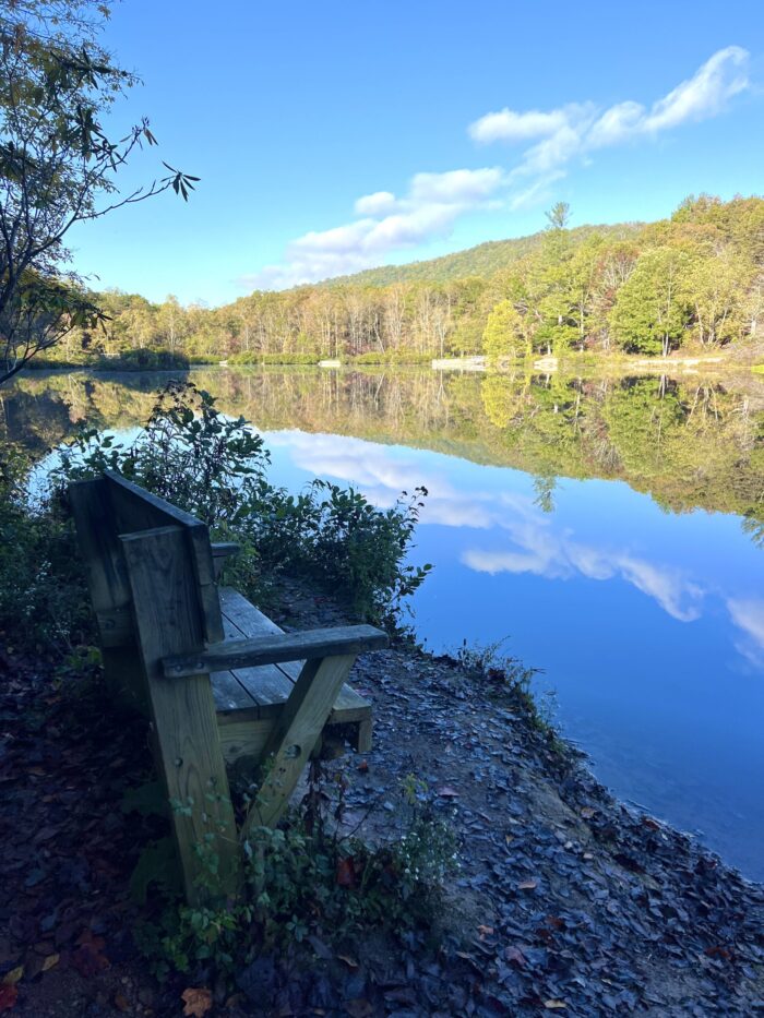 Best Things to Do in Blacksburg and Christiansburg, Virginia Year-Round 4 Best Things to Do in Blacksburg and Christiansburg, Virginia Year-Round pandapas pond bench