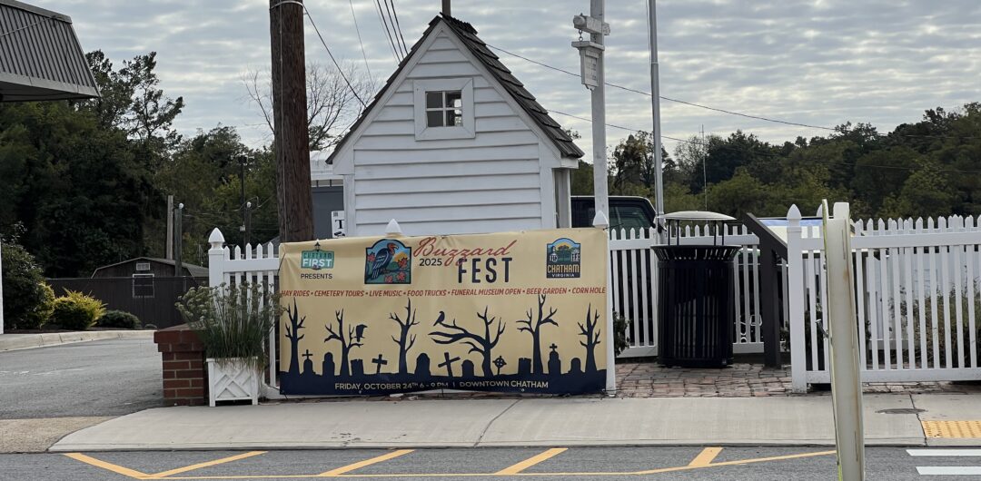 Halloween in Danville, Virginia: 6 Festive Ways to Celebrate 4 Halloween in Danville VA - Buzzard Fest in Chatham
