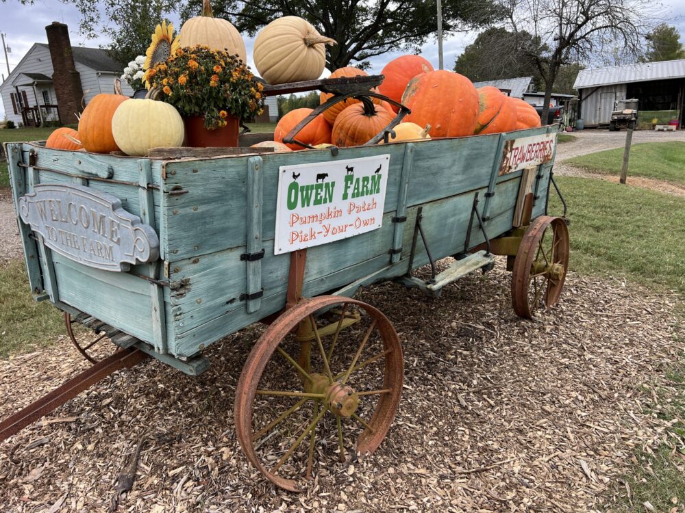 Halloween in Danville, Virginia: 6 Festive Ways to Celebrate 5 Halloween in Danville VA - Owen Farm pumpkin patch