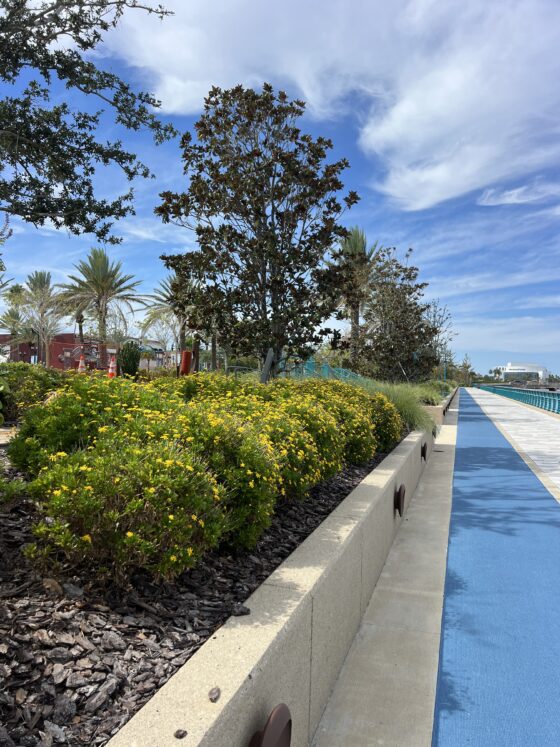 things to do in daytona beach year-round - walk the esplanade