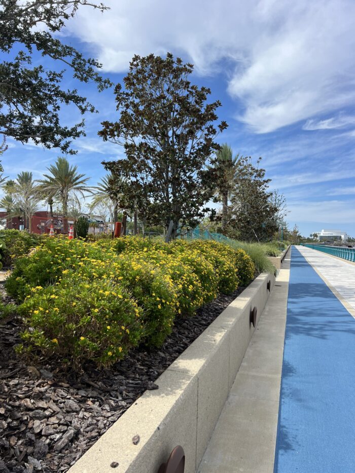 11 Best Things to Do in Daytona Beach Year-Round 3 things to do in daytona beach year-round - walk the esplanade