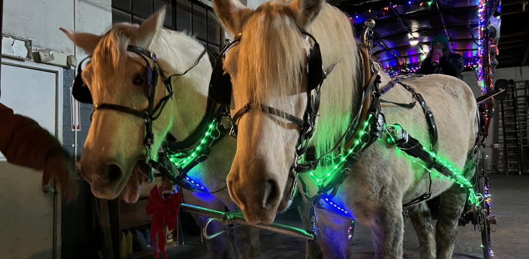 christmas in gettysburg - horse ridesJPG