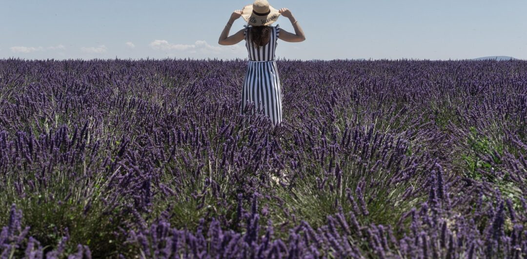 Honest Review of Luxury France Tours 2025 - Woman Standing in a Lavender Field