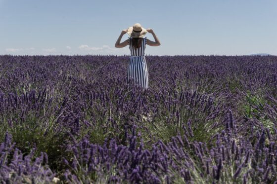 Honest Review of Luxury France Tours 2025 - Woman Standing in a Lavender Field
