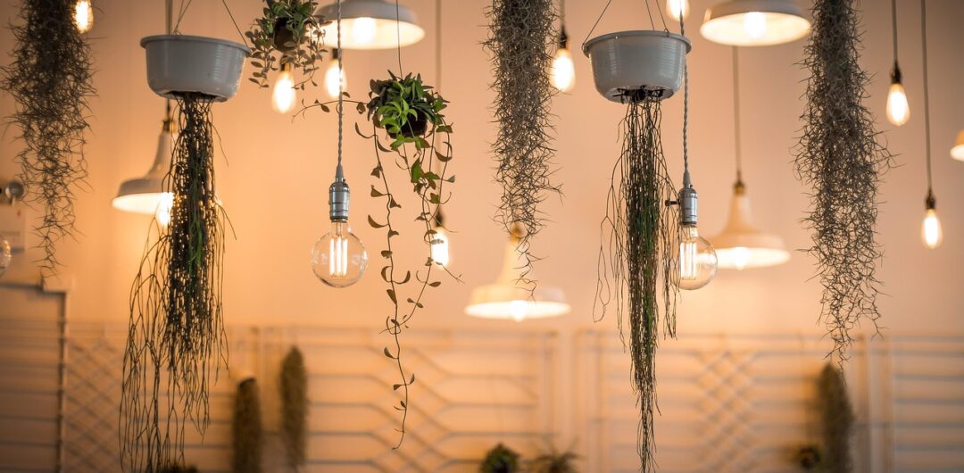7 Ways to Modernize an Older Home Without Losing Character 5 How to Modernize an Older Home Without Losing Character - Plants and Lighting