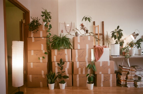 Don't Move Into Your New Home Without Doing These 4 Things First - Stack of Moving Boxes