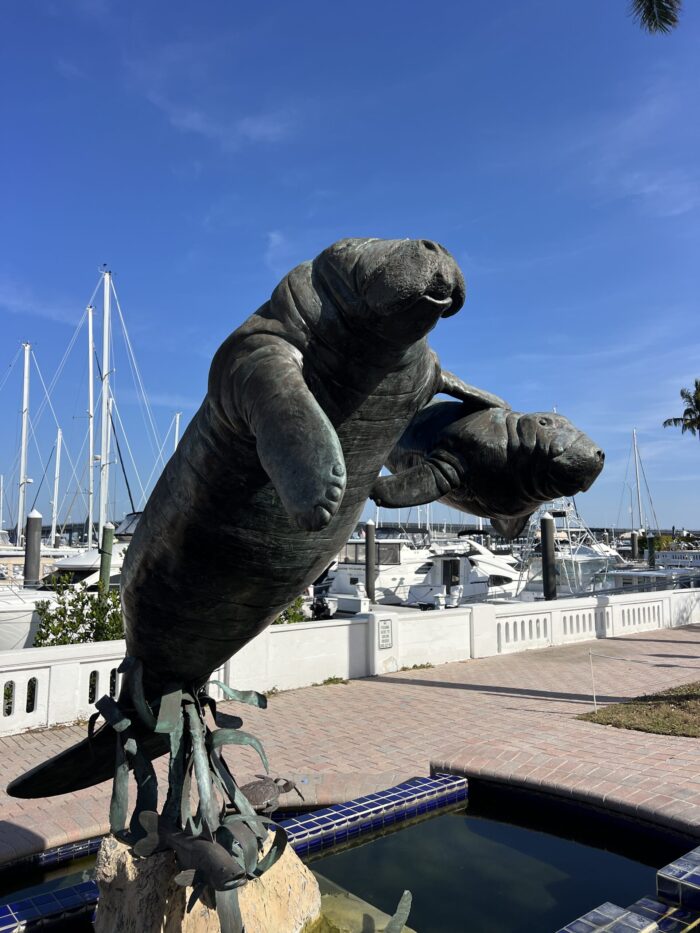 things to do in bradenton and anna maria island - bradenton manatee sculpture