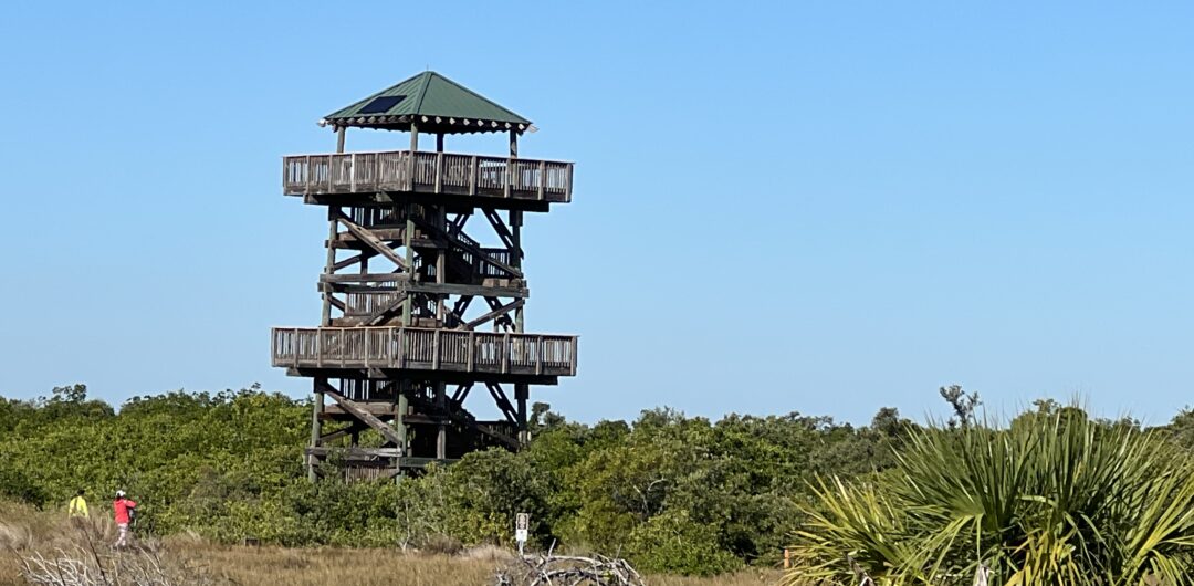 things to do in bradenton and anna maria island - robinson preserve